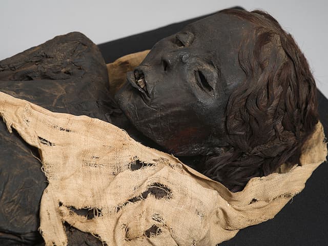 Toulouse : une grande expo sur les momies au Muséum à la rentrée