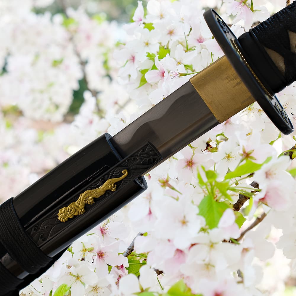 Sakura, wakizashi aiguisé (桜 fleur de cerisier)