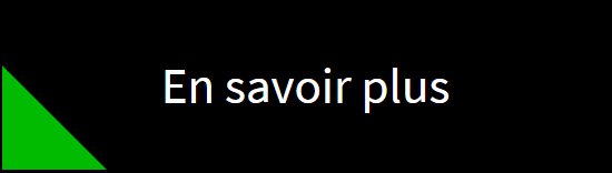 Vert : l'article est en stock