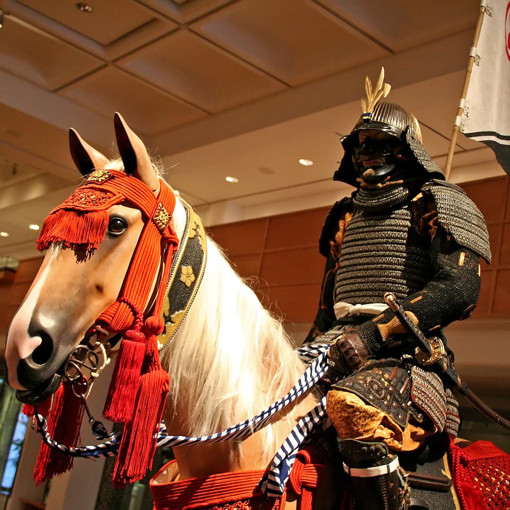 Tachis de collection et de décoration #Terressens