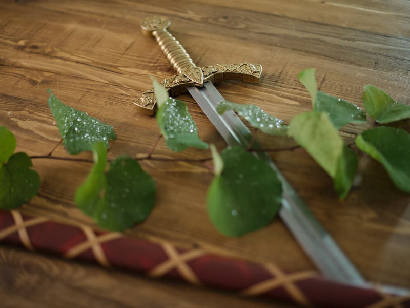 Épée templière de décoration avec fourreau rouge tressé, posée sur un table en bois décorée de végétation avec goutelettes de rosée Épée templière de décoration avec fourreau rouge tressé, posée sur un table en bois décorée de végétation avec goutelettes de rosée