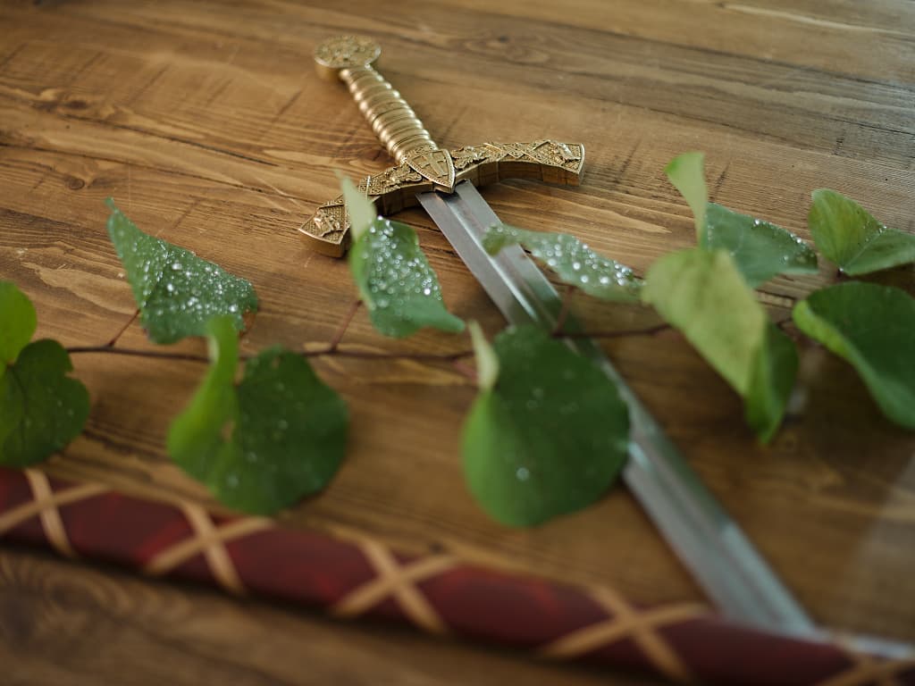 Épée templière de décoration avec fourreau rouge tressé, posée sur un table en bois décorée de végétation avec goutelettes de rosée Épée templière de décoration avec fourreau rouge tressé, posée sur un table en bois décorée de végétation avec goutelettes de rosée
