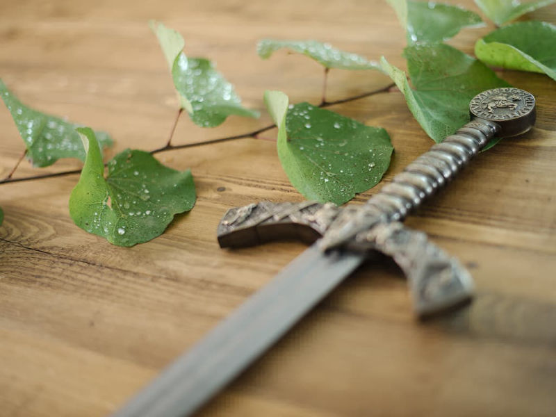 Épée templière de décoration avec fourreau noir, posée sur un table en bois décorée de végétation avec goutelettes de rosée